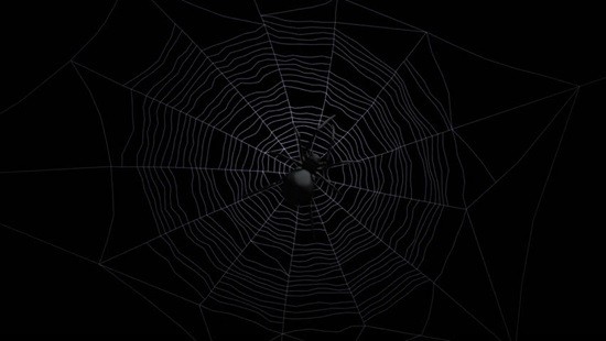 Spider web. Паутина. Паутина на темном фоне. Паутина черная. Паутина черная с пауками.