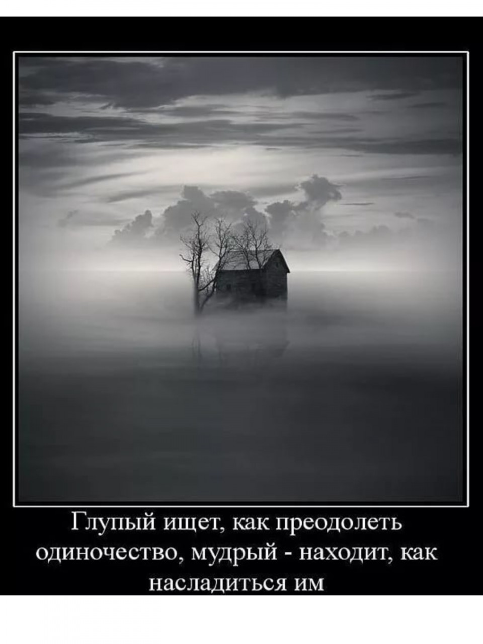 Одинокий ищет одинокую. Демотиваторы про одиночество. Одиночество со смыслом. Мудрость про одиночество. Одиночество мотиваторы.