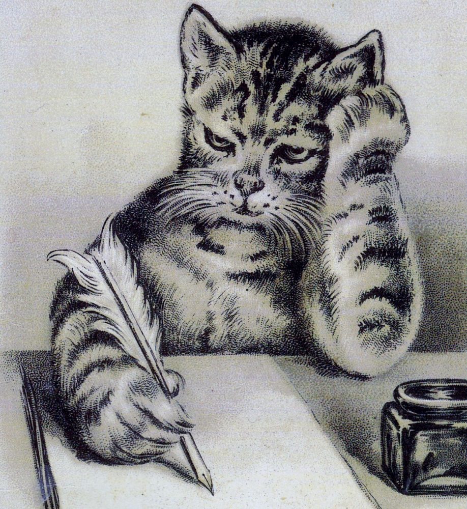 Писатель пишущий о животных. Кот писатель. Кот поэт. Котик с тетрадкой и ручкой. Писатели и коты.